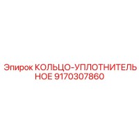 9170307860 КОЛЬЦО-УПЛОТНИТЕЛЬНОЕ | Epiroc