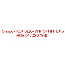 9170307860 КОЛЬЦО-УПЛОТНИТЕЛЬНОЕ | Epiroc