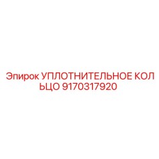 9170317920 УПЛОТНИТЕЛЬНОЕ КОЛЬЦО Epiroc