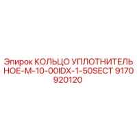 9170920120 КОЛЬЦО УПЛОТНИТЕЛЬНОЕ-M-10-00IDX-1-50SECT Epiroc