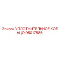 95017885 УПЛОТНИТЕЛЬНОЕ КОЛЬЦО Epiroc