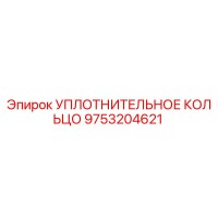9753204621 УПЛОТНИТЕЛЬНОЕ КОЛЬЦО Epiroc