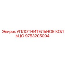9753205094 УПЛОТНИТЕЛЬНОЕ КОЛЬЦО Epiroc