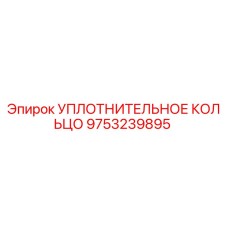 9753239895 УПЛОТНИТЕЛЬНОЕ КОЛЬЦО Epiroc