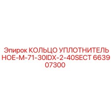 663907300 КОЛЬЦО УПЛОТНИТЕЛЬНОЕ-M-71-30IDX-2-40SECT Epiroc