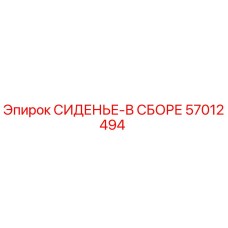 57012494 СИДЕНЬЕ-В СБОРЕ Epiroc