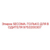 9753200307 SECOMA-ТОЛЬКО ДЛЯ ВОДИТЕЛЯ Epiroc