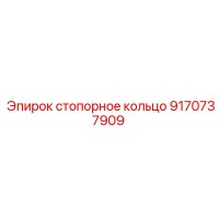 9170737909 стопорное кольцо Epiroc