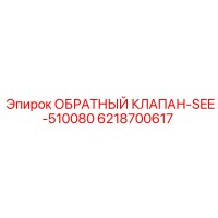 6218700617 ОБРАТНЫЙ КЛАПАН-SEE-510080 Epiroc