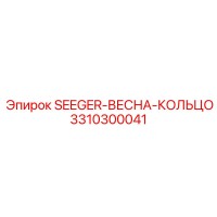3310300041 SEEGER-ВЕСНА-КОЛЬЦО Epiroc