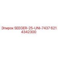 6214342300 SEEGER-25-UNI-7437 Epiroc