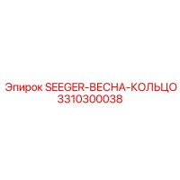 3310300038 SEEGER-ВЕСНА-КОЛЬЦО Epiroc