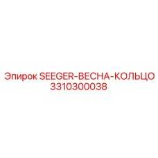 3310300038 SEEGER-ВЕСНА-КОЛЬЦО Epiroc