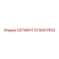 5730017832 СЕГМЕНТ (Epiroc)