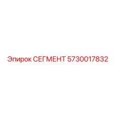 5730017832 СЕГМЕНТ (Epiroc)