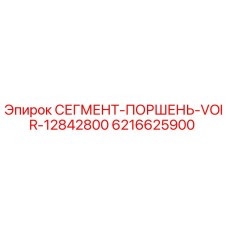 6216625900 СЕГМЕНТ-ПОРШЕНЬ-VOIR-12842800 Epiroc