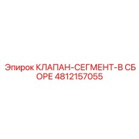4812157055 КЛАПАН-СЕГМЕНТ-В СБОРЕ Epiroc
