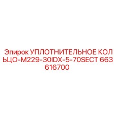 663616700 УПЛОТНИТЕЛЬНОЕ КОЛЬЦО-M229-30IDX-5-70SECT Epiroc