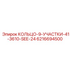 6216694500 КОЛЬЦО-9-УЧАСТКИ-41-3610-SEE-24 Epiroc