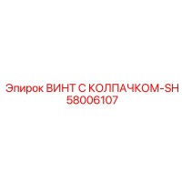 58006107 ВИНТ С КОЛПАЧКОМ-SH Epiroc