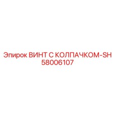 58006107 ВИНТ С КОЛПАЧКОМ-SH Epiroc