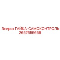 2657655656 ГАЙКА-САМОКОНТРОЛЬ Epiroc