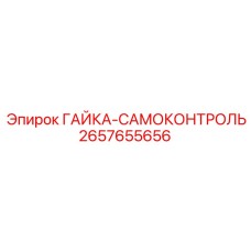2657655656 ГАЙКА-САМОКОНТРОЛЬ Epiroc