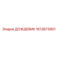 1613873901 ДОЖДЕВИК Epiroc
