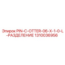 1310036956 PIN-C-OTTER-06-X-1-0-L-РАЗДЕЛЕНИЕ - Epiroc