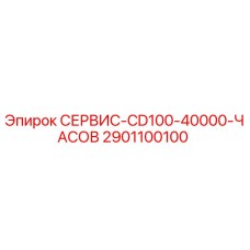2901100100 СЕРВИС-CD100-40000-ЧАСОВ Epiroc