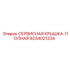 9234021234 СЕРВИСНАЯ КРЫШКА-ПОЛНАЯ Epiroc