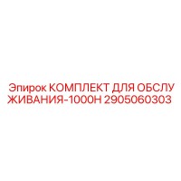 2905060303 КОМПЛЕКТ ДЛЯ ОБСЛУЖИВАНИЯ-1000H Epiroc