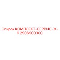 2906900300 КОМПЛЕКТ-СЕРВИС-Ж-6 Epiroc