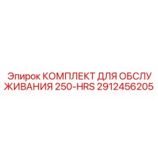 2912456205 - КОМПЛЕКТ ДЛЯ ОБСЛУЖИВАНИЯ 250-HRS - Epiroc