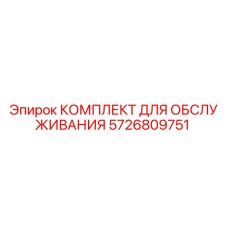 5726809751 КОМПЛЕКТ ДЛЯ ОБСЛУЖИВАНИЯ Epiroc