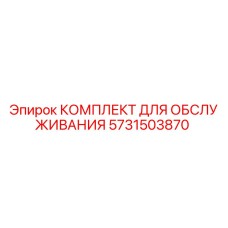 5731503870 КОМПЛЕКТ ДЛЯ ОБСЛУЖИВАНИЯ Epiroc