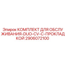 2906072100 КОМПЛЕКТ ДЛЯ ОБСЛУЖИВАНИЯ-DUO-CV-С-ПРОКЛАДКОЙ Epiroc