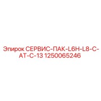 1250065246 СЕРВИС-ПАК-L6H-L8-C-AT-C-13 | Epiroc