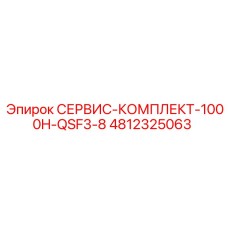 4812325063 СЕРВИС-КОМПЛЕКТ-1000H-QSF3-8 Epiroc