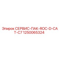 1250065324 СЕРВИС-ПАК-ROC-D-CAT-C7 Epiroc
