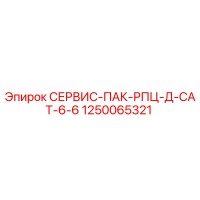 1250065321 СЕРВИС-ПАК-РПЦ-Д-CAT-6-6 Epiroc
