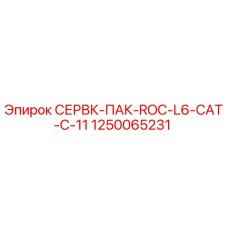1250065231 СЕРВК-ПАК-ROC-L6-CAT-C-11 Epiroc