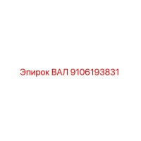 9106193831 ВАЛ Epiroc