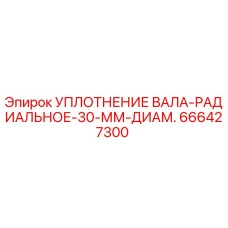666427300 УПЛОТНЕНИЕ ВАЛА-РАДИАЛЬНОЕ-30-ММ-ДИАМ. Epiroc