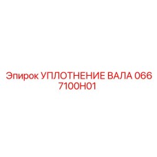 0667100H01 УПЛОТНЕНИЕ ВАЛА Epiroc