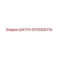 9170300710 ШАТУН Epiroc