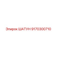9170300710 ШАТУН Epiroc