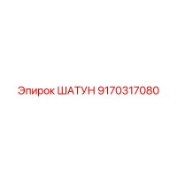 9170317080 ШАТУН Epiroc