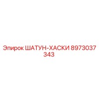 8973037343 ШАТУН-ХАСКИ Epiroc