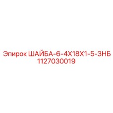 1127030019 ШАЙБА-6-4Х18Х1-5-ЗНБ Epiroc
